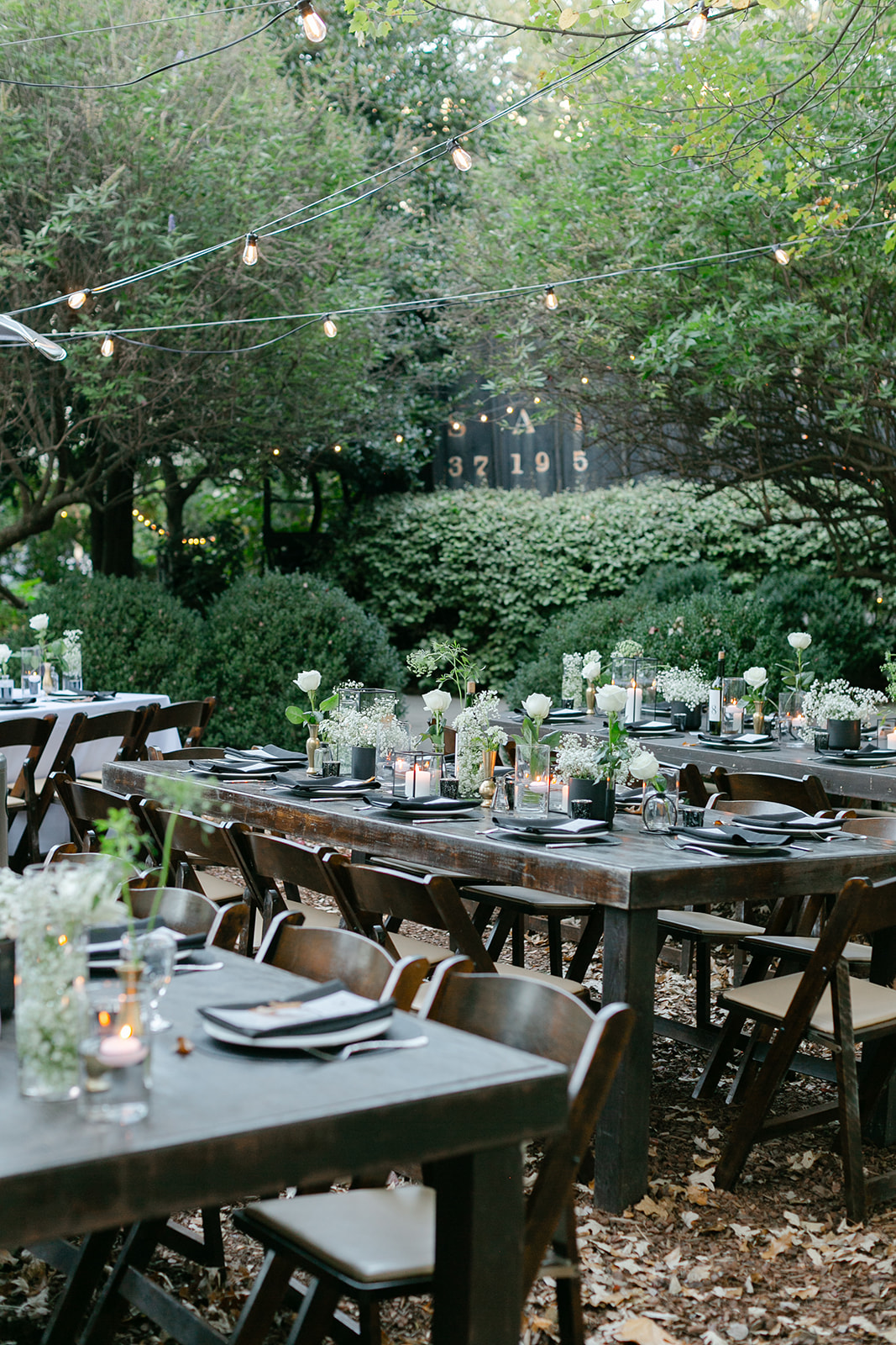 McGill Rose Garden wedding